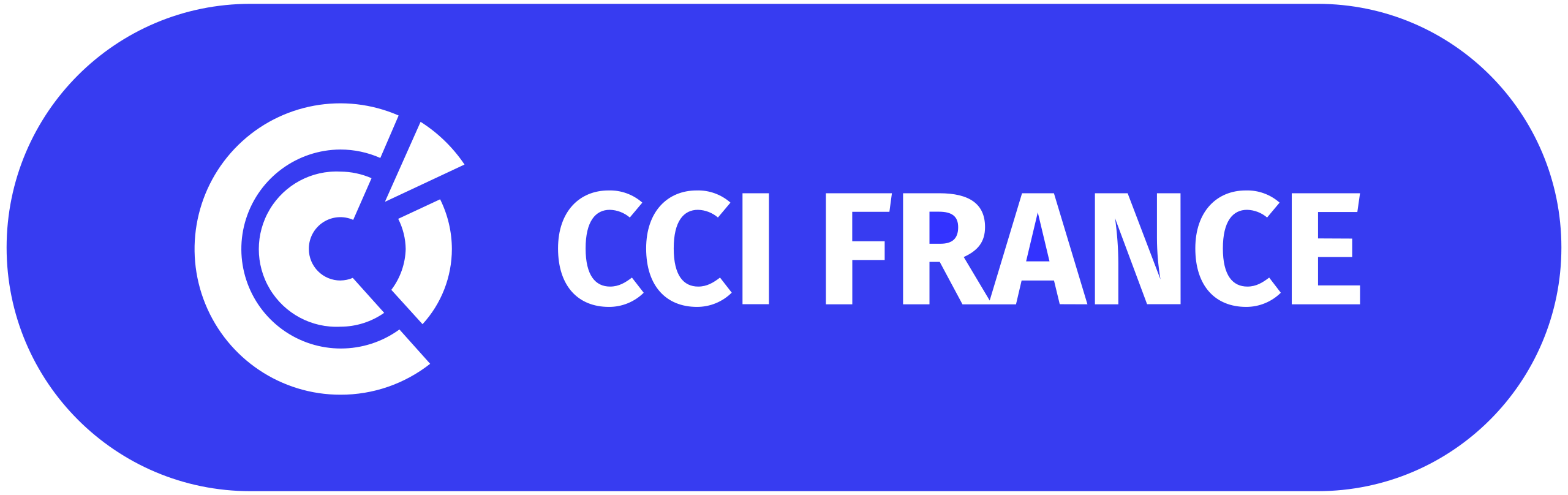 logo-cci-france