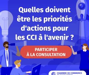 consultation-cci-bayonne-pays-basque