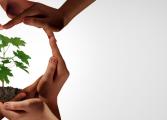 faire-evoluer-votre-activite-dans-ses-dimensions-economique-environnementale-et-societale-cci-bayonne-pays-basque