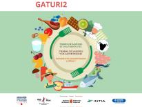 Gaturi 2