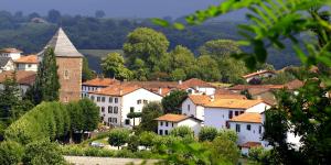 beneficier-d-une-assistance-lors-d-interventions-centre-ville-centre-bourg-cci-bayonne-pays-basque